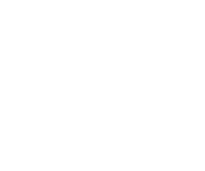 SEOM Logo