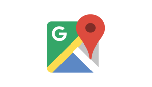 Google Maps Icon