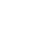 Washington Cross Logo