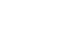 Braintree Logo